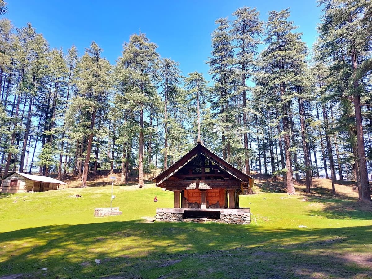  Balo Nag Temple is a thousand-year-old testament to cultural heritage and architectural craftsmanship. Surrounded by lush greenery and Deodar trees, the temple stands amidst a tranquil meadow, offering a serene ambiance for visitors