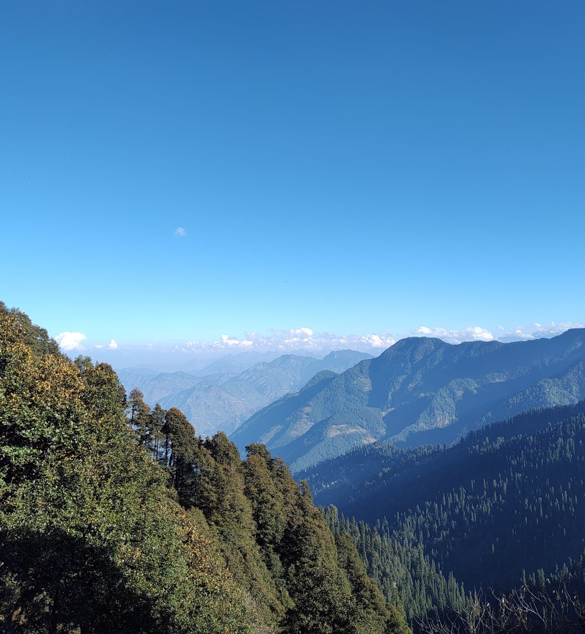  Jalori Pass stands at an elevation of 3,120 meters (10,236 feet) above sea level. Accessible from Delhi, it offers breathtaking vistas of the Great Himalayan National Park and the Tirthan Valley