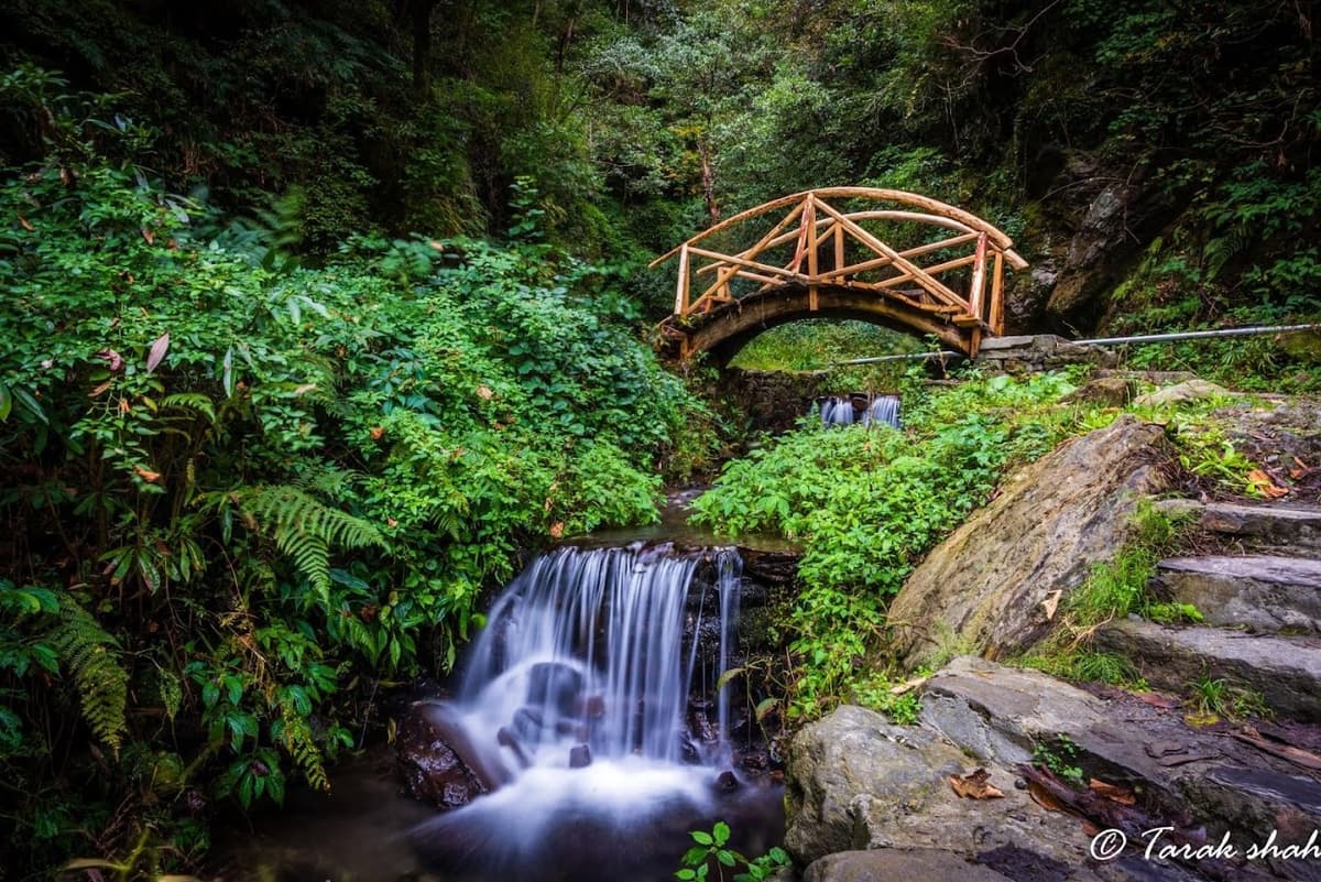 Located near Jibhi village in Himachal Pradesh, India, Jibhi Waterfall is a serene natural wonder nestled amidst lush green forests. Accessible via a short trek, 
    this picturesque spot offers unmatched beauty and tranquility.