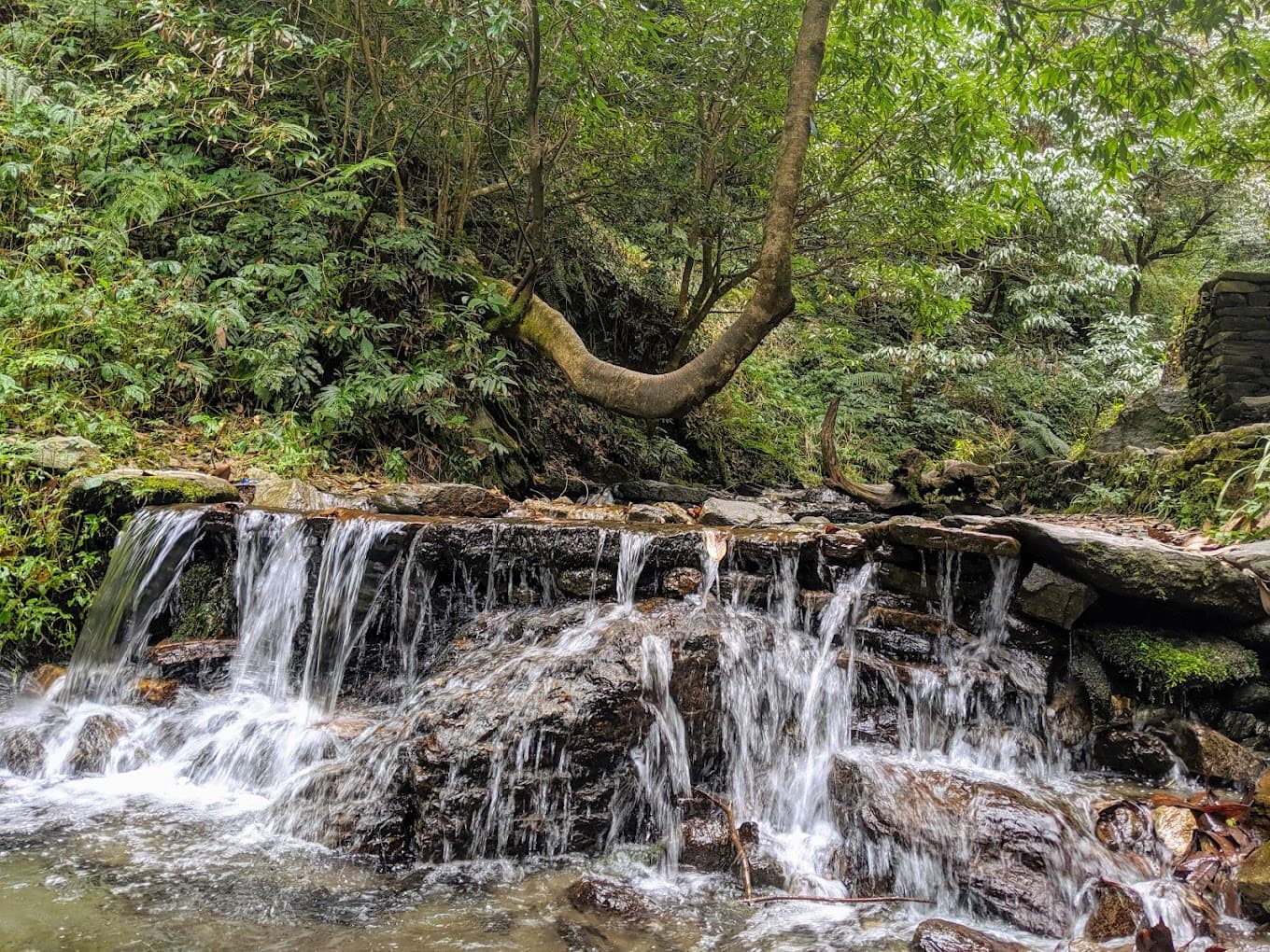 Jibhi Waterfall